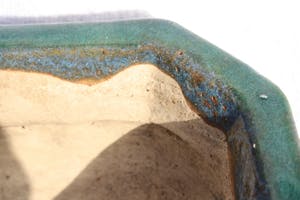 Niet of onleesbaar gesigneerd - bonsai bak kopen? Bied vanaf 1!