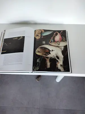 AcheterJheronimus Bosch - Catalogus schilder en tekenaar? Enchérissez de 20!
