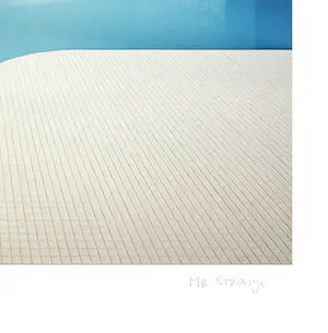 Mr. Strange - Hotelzwembad III kopen? Bied vanaf 80!