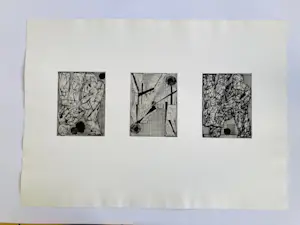 Kees Spermon - drieluik droge naald - schaamteloosheid kopen? Bied vanaf 55!