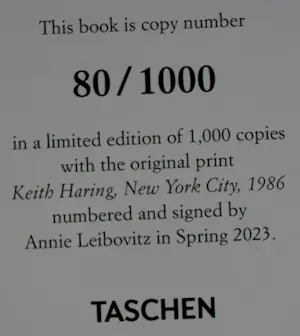 Annie Leibovitz - ingelijste cibochrome print + boek: Patti Smith - 1998 kopen? Bied vanaf 995!