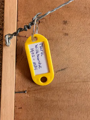 Marie Willeboordse - CHRYSANTEN (zeer groot) kopen? Bied vanaf 200!