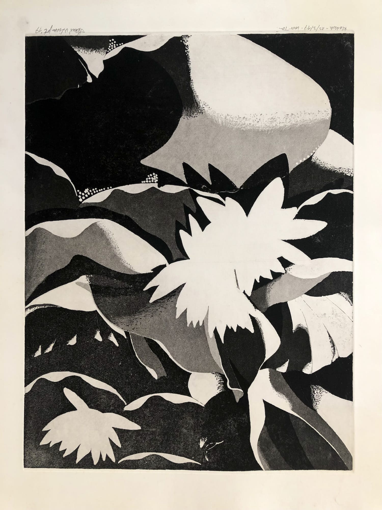 Hans van Liempt - Twee etsen in één koop verkocht voor € 39!