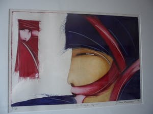 Dana Andreev - Kleurenets, Close Up - Ingelijst kopen? Bied vanaf 60!