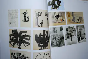 Gust Romijn - monumentaal boek, in nieuwstaat -> gratis verzonden NL kopen? Bied vanaf 50!