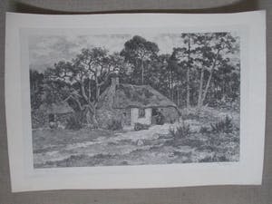 Edzard Koning - Litho Boschweg kopen? Bied vanaf 55!