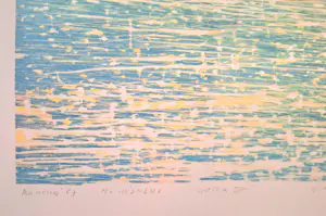 Reinoud Kuipers - de schittering van water kopen? Bied vanaf 59!