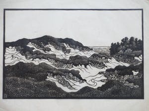 Antonius Hubertus Nordberg - Duinen - Houtsnede kopen? Bied vanaf 1!