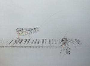 Corstiaan de Vries - (Kleur)potlood-tekening , Sprinkhaan en Bij op piano – ingelijst – 94 x 80 cm kopen? Bied vanaf 1!