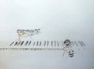 Corstiaan de Vries - (Kleur)potlood-tekening , Sprinkhaan en Bij op piano – ingelijst – 94 x 80 cm verkocht voor € 1!