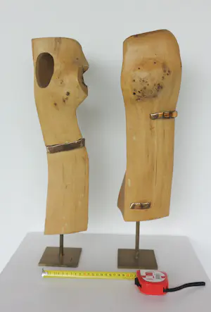 Frans Kokshoorn - Set van twee sculpturen van hout met metalen elementen kopen? Bied vanaf 200!