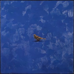 Gerard Prent - Olieverf op doek, Mus kopen? Bied vanaf 800!