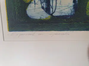 Hans Heijman - Experiment en Improvisatie kopen? Bied vanaf 50!