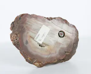 Clemens Pasch - Brons, Zittende vrouw op natuurstenen voet (Gerda) + boek! kopen? Bied vanaf 250!