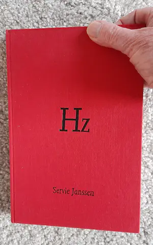 Servie Janssen - "The Rise and Fall of here Night" van SERVIE JANSSEN kopen? Bied vanaf 350!