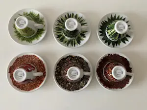illy Art Collection - illy art collection 2000 Home of Texture espresso Ontwerp Francis Ford Coppola kopen? Bied vanaf 58!