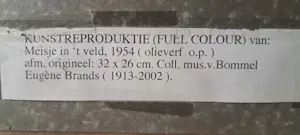 Eugène Brands - Meisje in 't veld kopen? Bied vanaf 25!