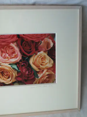 Sylvia Dudok van Heel - Ingelijste foto, Bloemstilleven Rozen 2 – 52 x 62 cm - 2002 kopen? Bied vanaf 1!