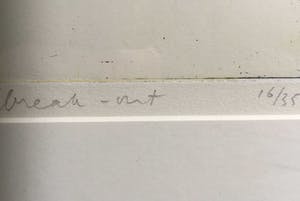 Hans Vredegoor - Break-Out kopen? Bied vanaf 35!