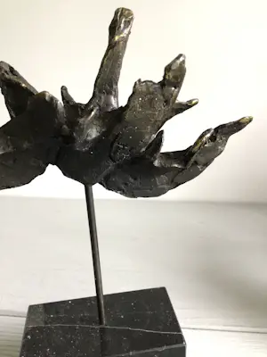 Bernadette Leijdekkers - “ Wilde Zwanen “ zeldzaam kopen? Bied vanaf 99!