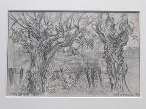 Chris Jansen - Wilgenbomen. kopen? Bied vanaf 45!