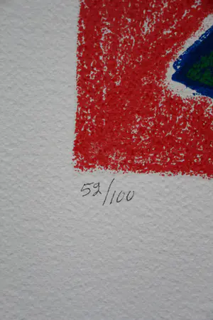 Corneille - zeefdruk: Regard sur L' oiseau kopen? Bied vanaf 175!