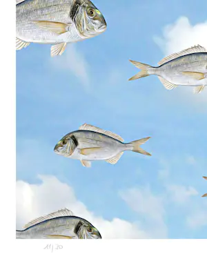 Mr. Strange - A Contre-courant! kopen? Bied vanaf 100!