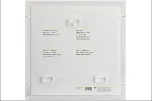 Damien Hirst - Gesigneerde albumhoes Red Hot Chili Peppers door Damien Hirst kopen? Bied vanaf 1200!