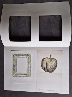 Kees Franse - Twee (2) eigen druk litho's "sierlijst" en "appel" beperkte oplage (50 en 72) kopen? Bied vanaf 37!