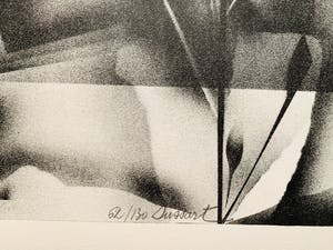 Gislain Dussart - Tulips kopen? Bied vanaf 15!