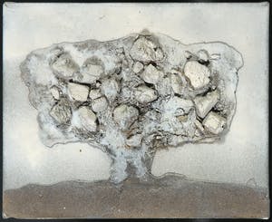 Mihajlo Petkovic - Olieverf en materie op doek, Boom kopen? Bied vanaf 50!