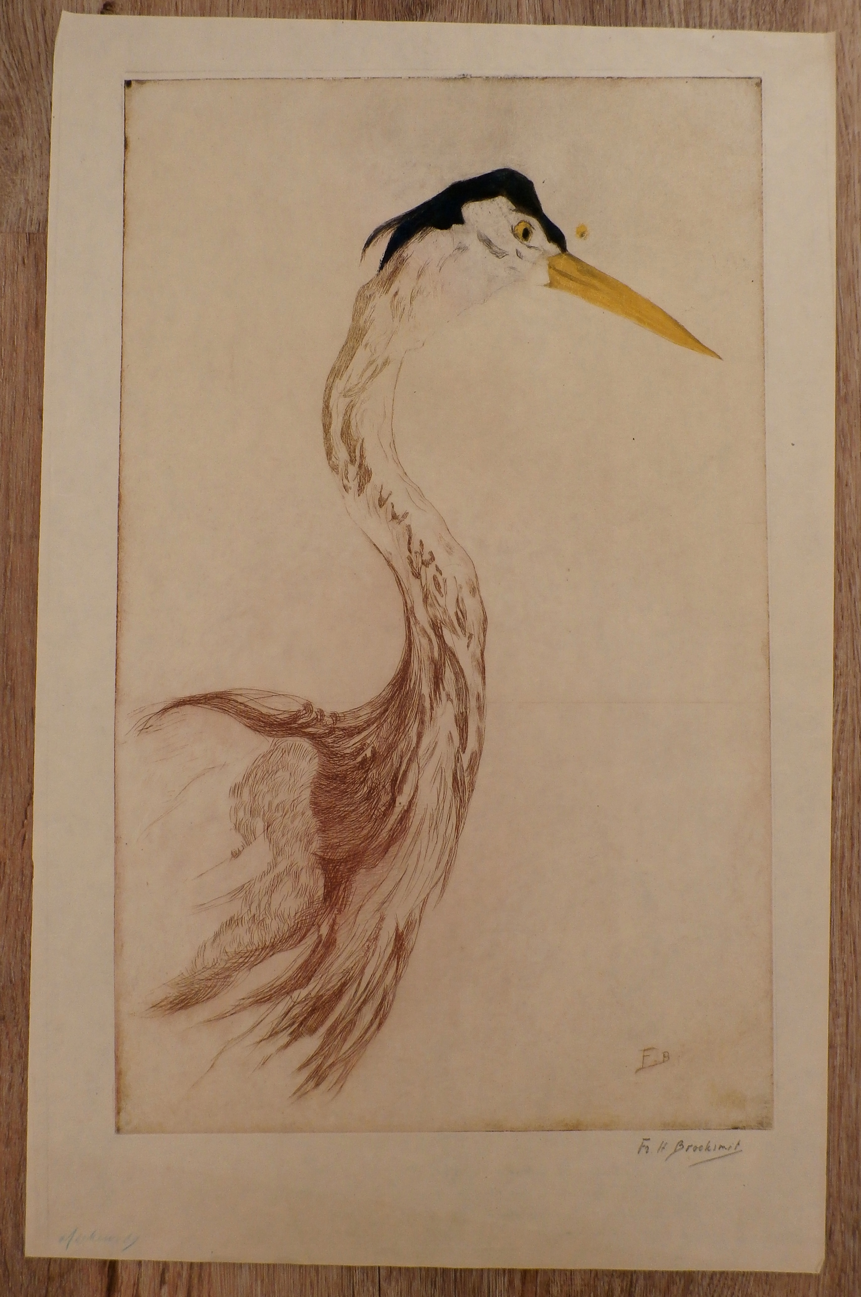 Frederika Broeksmit - ets: vogel kopen? Bied vanaf 45!