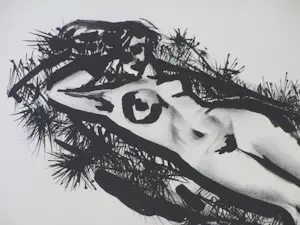 Wim Zwiers - Liggend naakt - Litho kopen? Bied vanaf 55!