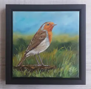 Onbekend - Mooi roodborstje in de natuur kopen? Bied vanaf 20!