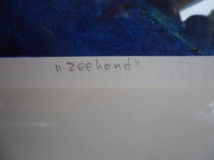 Maya Wildevuur - Zeefdruk. Titel, "Zeehond". kopen? Bied vanaf 90!