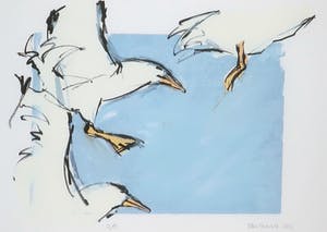 Ellen Meuwese - Giclée, Meeuwen - Ingelijst kopen? Bied vanaf 1!
