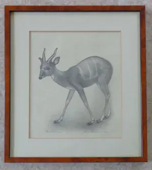 Jan Bezemer - ANTILOPE / ZW-W LITHO / 29x26cm / KADER / SIG kopen? Bied vanaf 30!