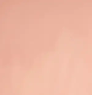 Mr Strange - De cactus kopen? Bied vanaf 85!