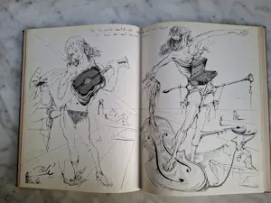 Salvador Dali - 50 secrets of magic craftsmanship kopen? Bied vanaf 125!