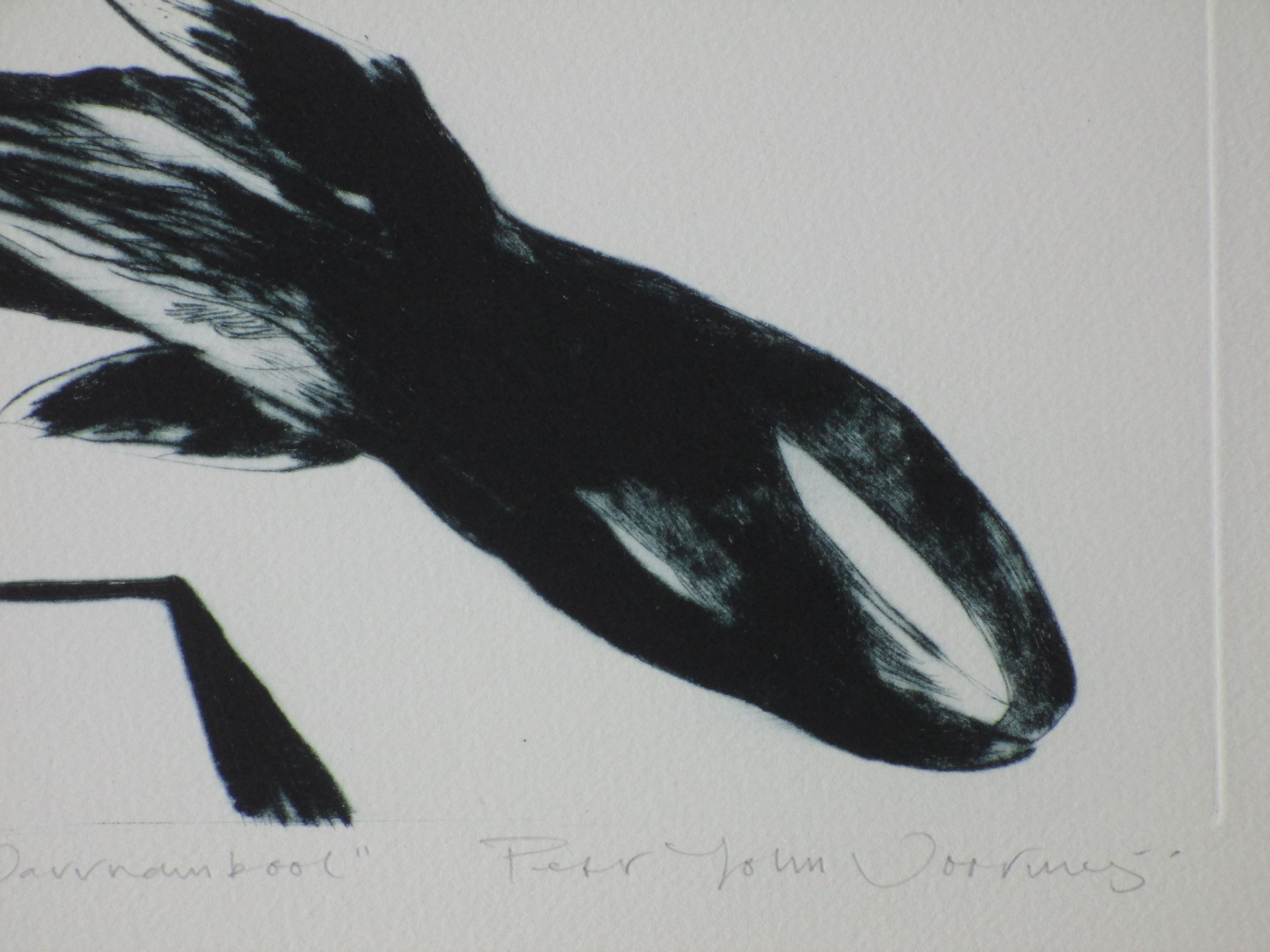 Peter John Voormeij - Fat Chance at Warnambool - Kleurets kopen? Bied vanaf 1!