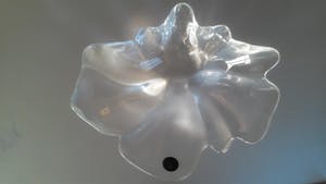 Royal Copenhagen - Crystal 'Natura' schaal van Ole Kortzau kopen? Bied vanaf 35!