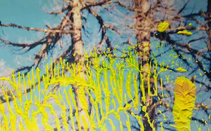 Gerhard Richter - '26. 5.92' - Farboffset, drucksigniert kopen? Bied vanaf 69!