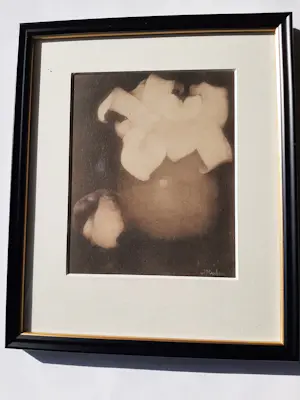 Jan Mankes - Originele Heliogravure , Aronskelken 1923 kopen? Bied vanaf 60!