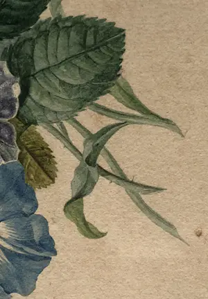 Onbekend - Twee stillevens kopen? Bied vanaf 40!