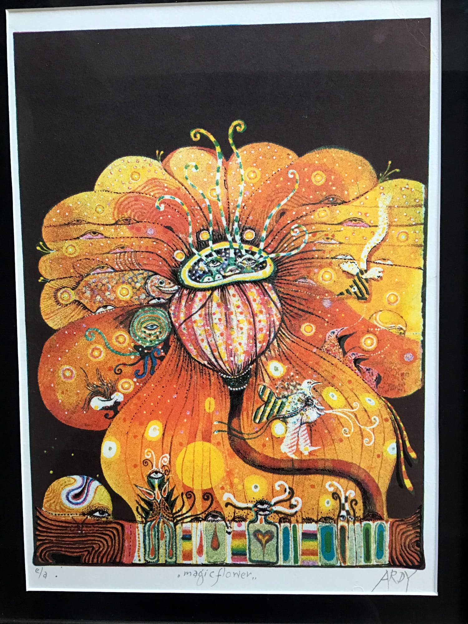 Ardy Struwer - Magic Flower, e.a. Gesigneerd en ingelijst verkocht voor € 35!