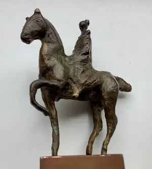 Loek Bos - Amazone kopen? Bied vanaf 295!