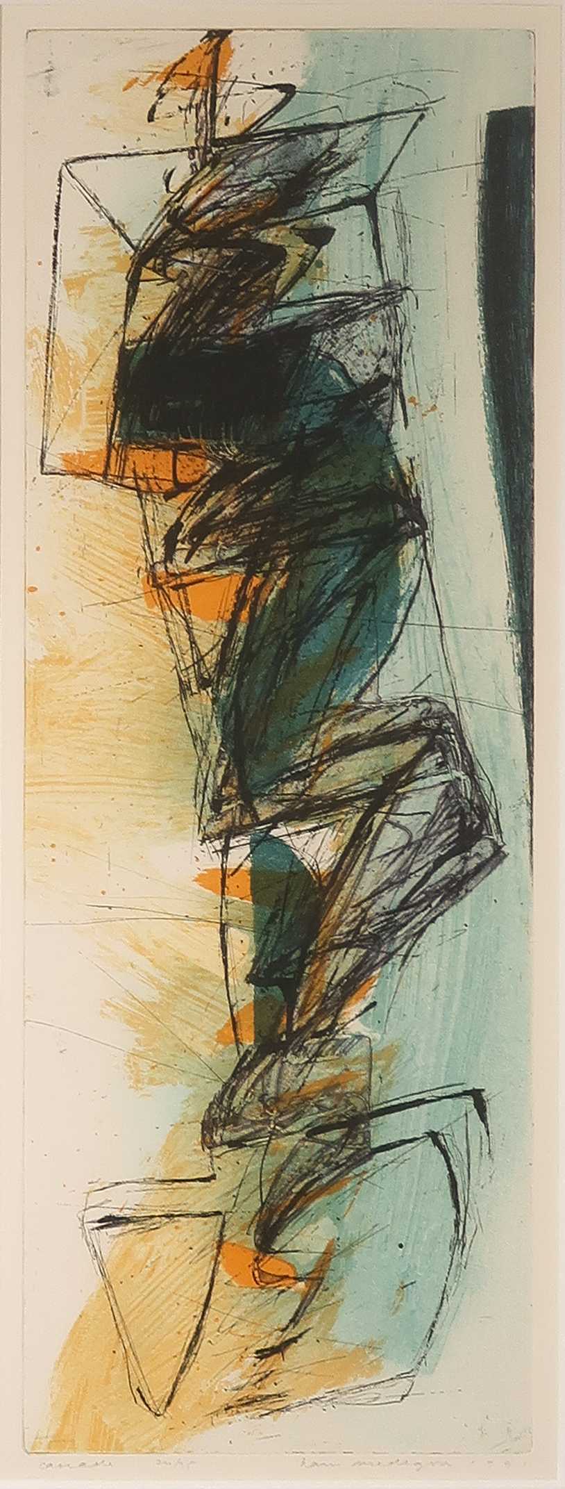 Hans Vredegoor - Ets en aquatint, Cascade - Ingelijst kopen? Bied vanaf 35!