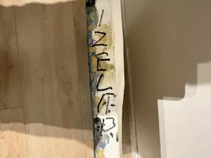 Toon de Haas - Zelfportret kopen? Bied vanaf 150!