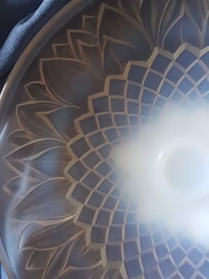 Rene Lalique - Leafs kopen? Bied vanaf 1!