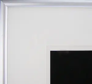 Bert Houweling - Roos 43 kopen? Bied vanaf 15!